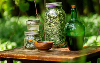 Ayurvedic Tips for a Refreshed Summer