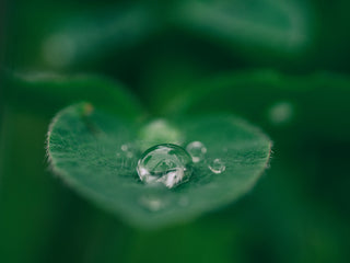 Unlocking Your True Essence: Understanding the 3 Doshas of Ayurveda